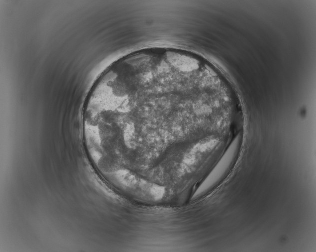 X0000116491238201001061134