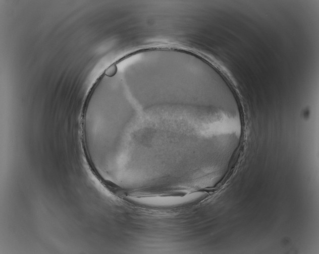 X0000116491239201001061134