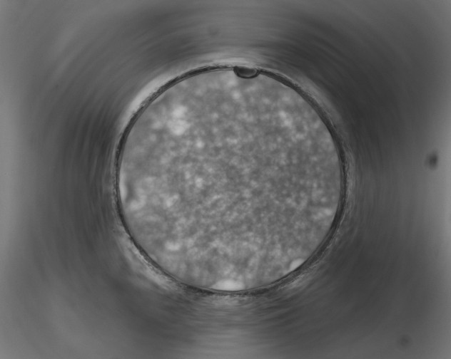 X0000116491240201001061134