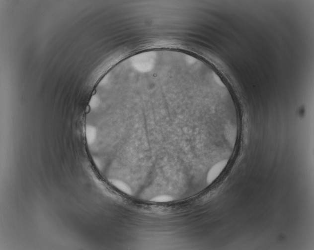 X0000116491241201001061134