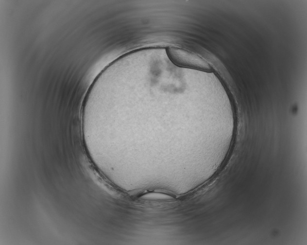 X0000116491242201001061134