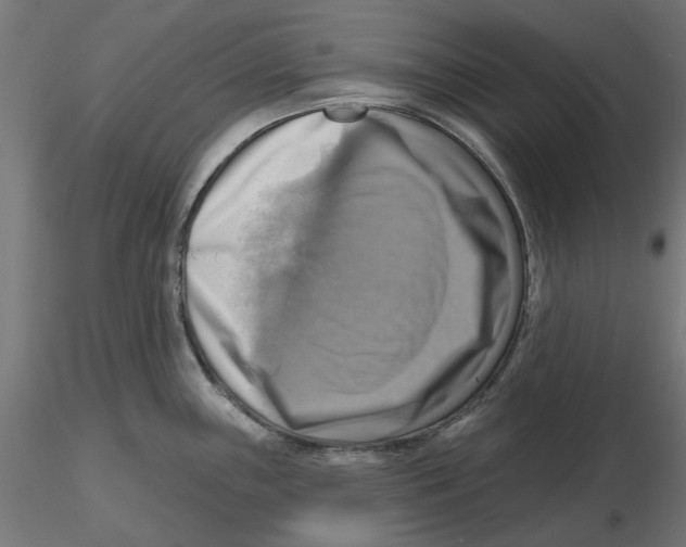 X0000116491243201001061134