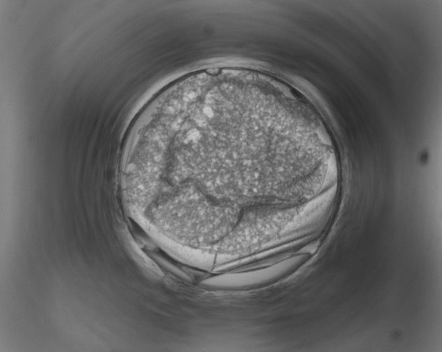 X0000116491244201001061134