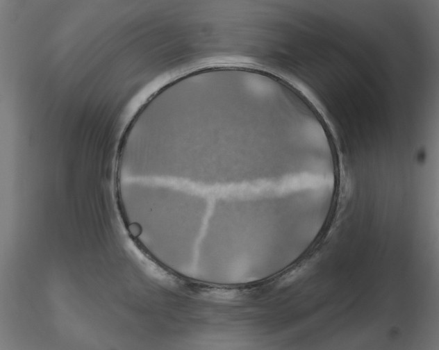 X0000116491245201001061134