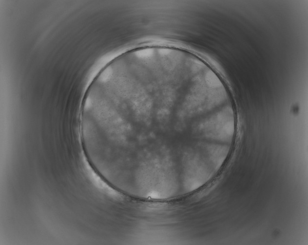 X0000116491247201001061134