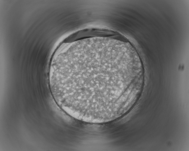 X0000116491248201001061134