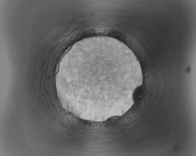 X0000116491249201001061134