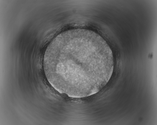 X0000116491250201001061134