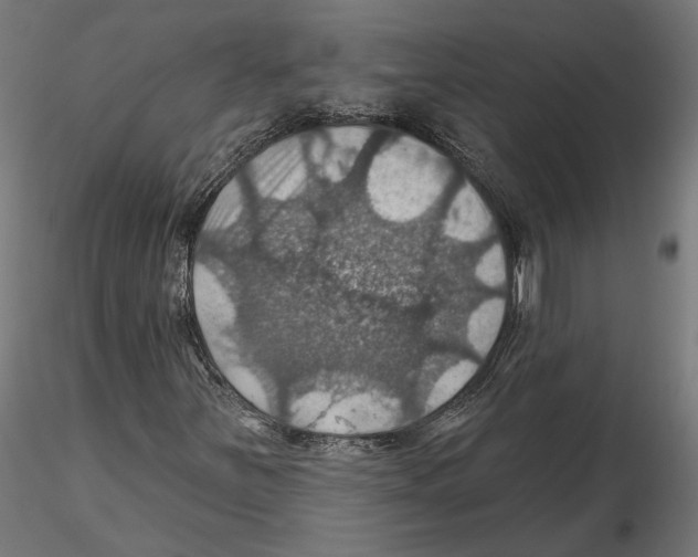 X0000116491251201001061134