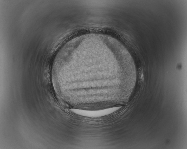 X0000116491252201001061134