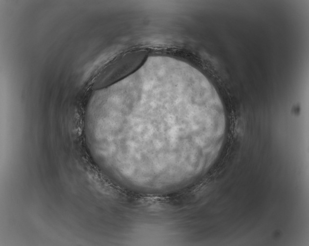 X0000116491253201001061134