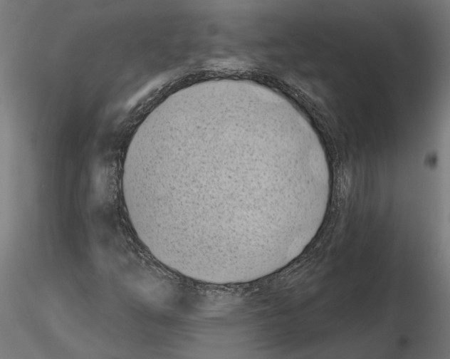 X0000116491254201001061134