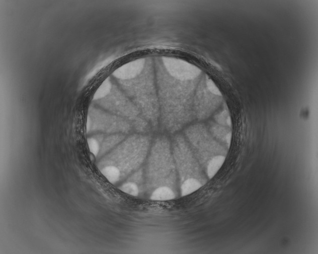 X0000116491255201001061134