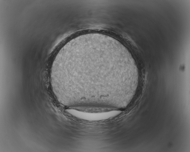 X0000116491256201001061134