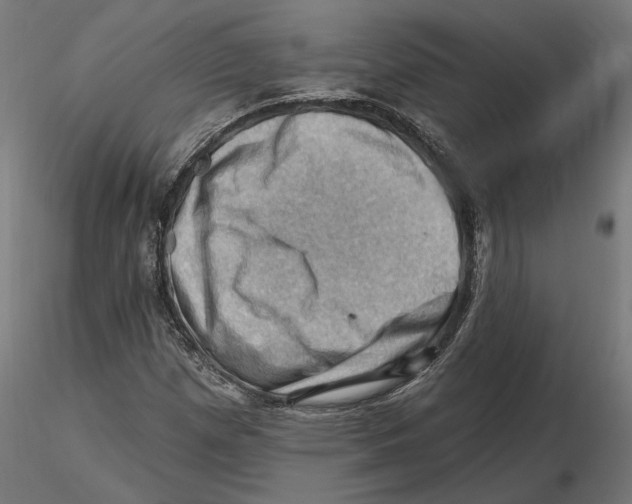 X0000116491257201001061134