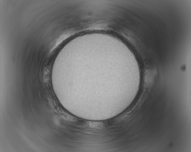 X0000116491258201001061134