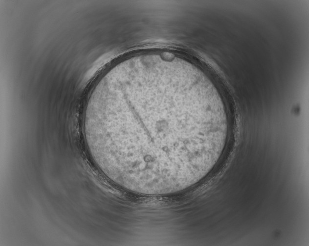 X0000116491259201001061134