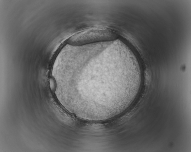 X0000116491260201001061134