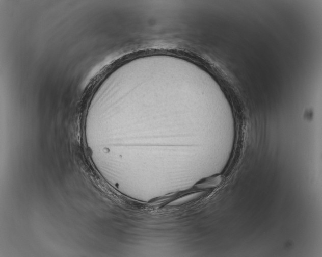 X0000116491262201001061134