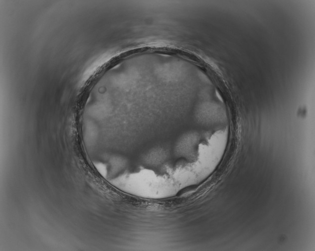 X0000116491263201001061134