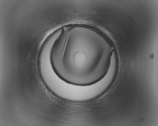 X0000116491264201001061134