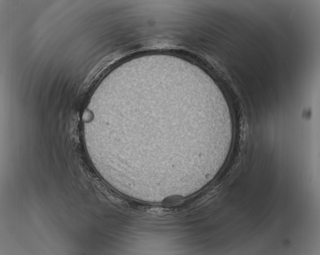 X0000116491265201001061134