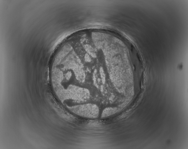 X0000116491267201001061134