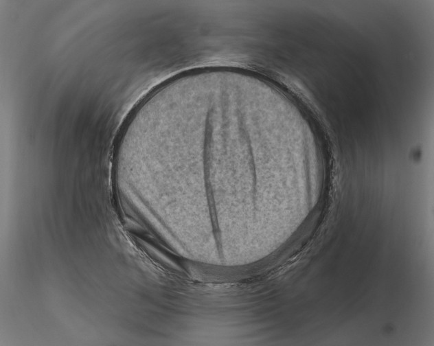 X0000116491268201001061134