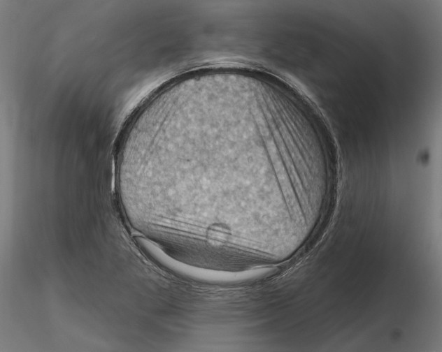 X0000116491269201001061134