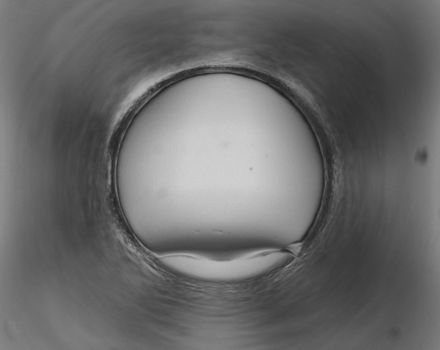 X0000116491270201001061134