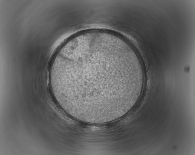 X0000116491271201001061134