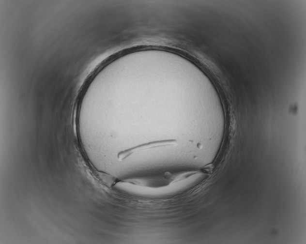 X0000116491272201001061133