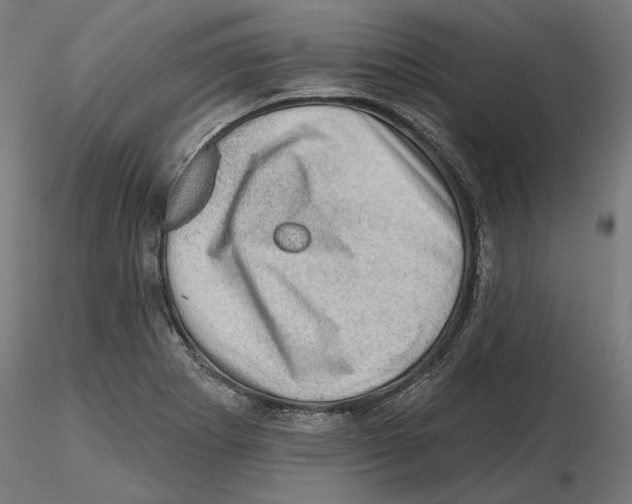 X0000116491273201001061133