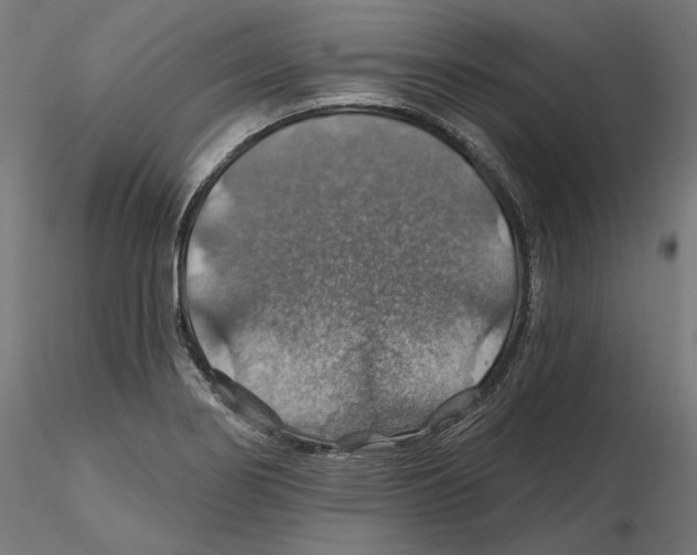 X0000116491274201001061133