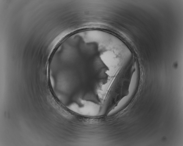 X0000116491275201001061133