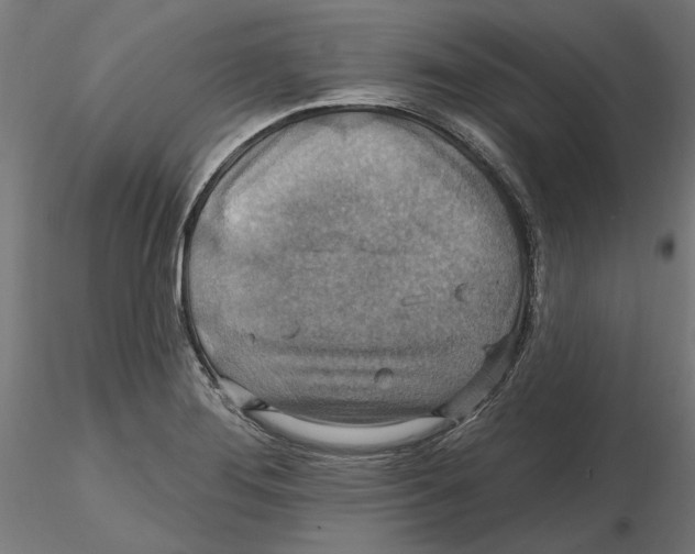 X0000116491276201001061133