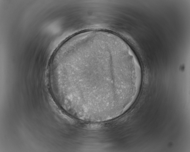 X0000116491278201001061133