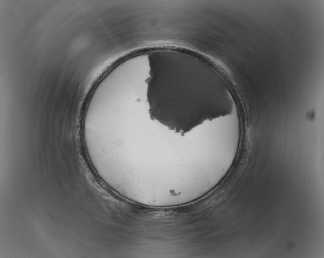 X0000116491279201001061133