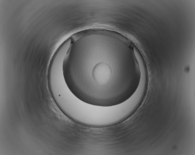 X0000116491280201001061133