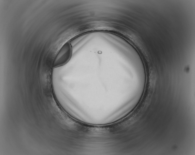 X0000116491281201001061133