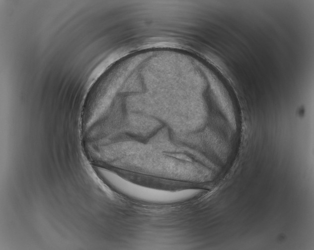 X0000116491282201001061133