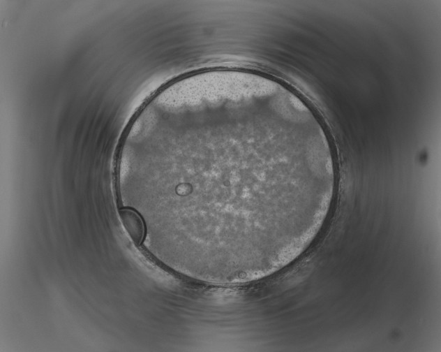 X0000116491283201001061133