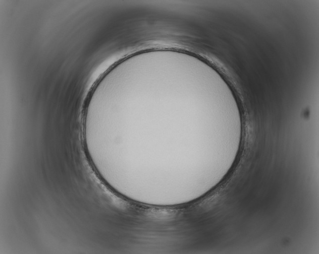 X0000116491286201001061133