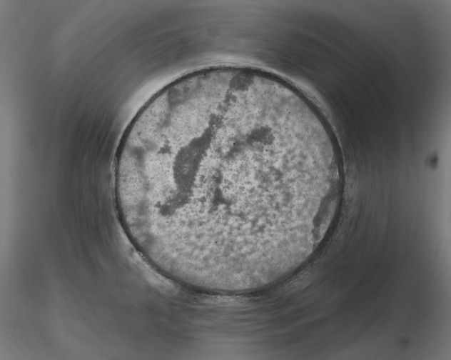 X0000116491287201001061133