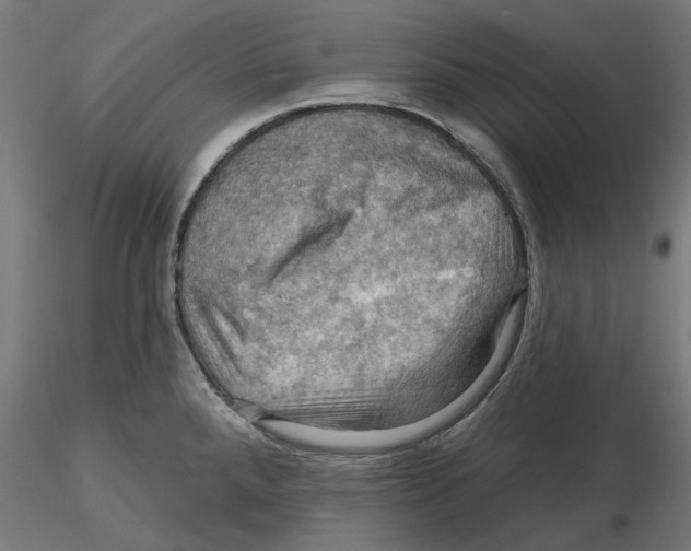 X0000116491288201001061133