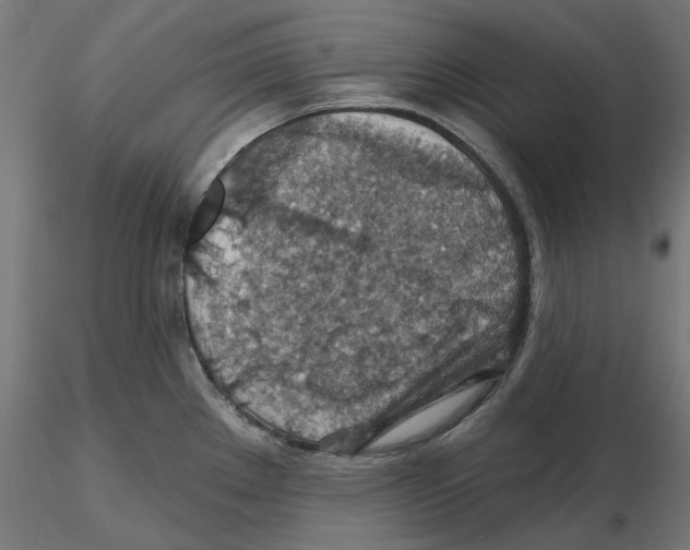 X0000116491289201001061133