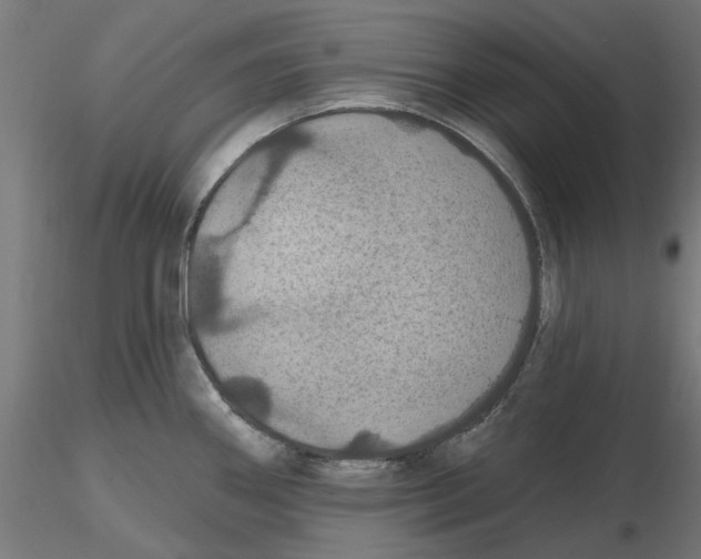 X0000116491290201001061133