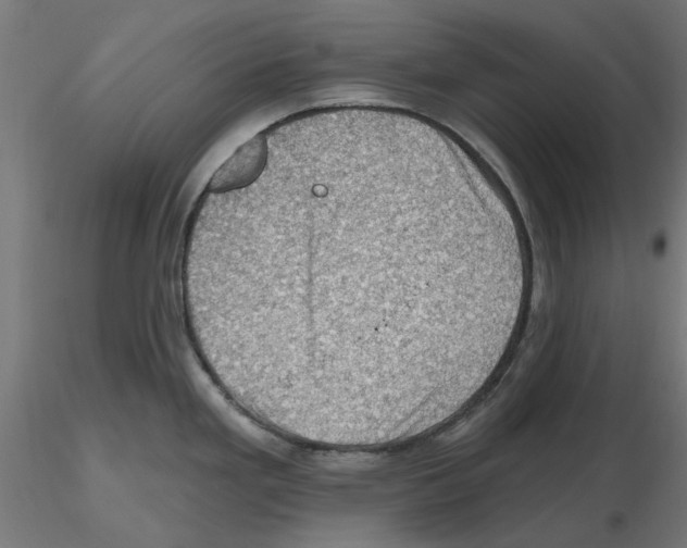 X0000116491293201001061133