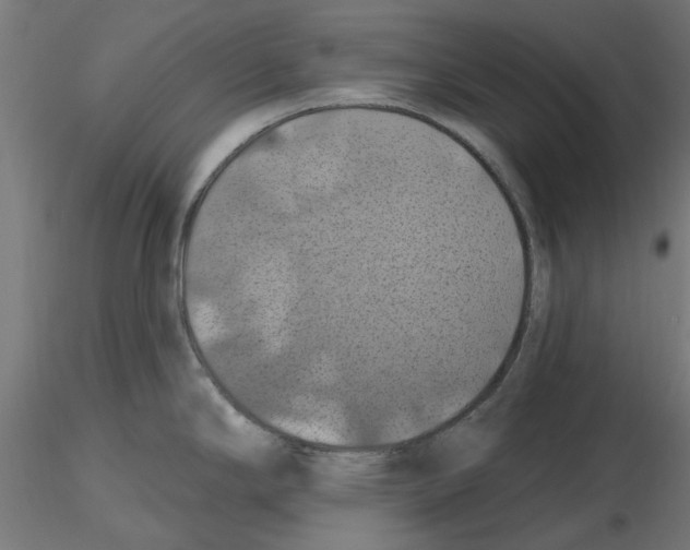 X0000116491294201001061133