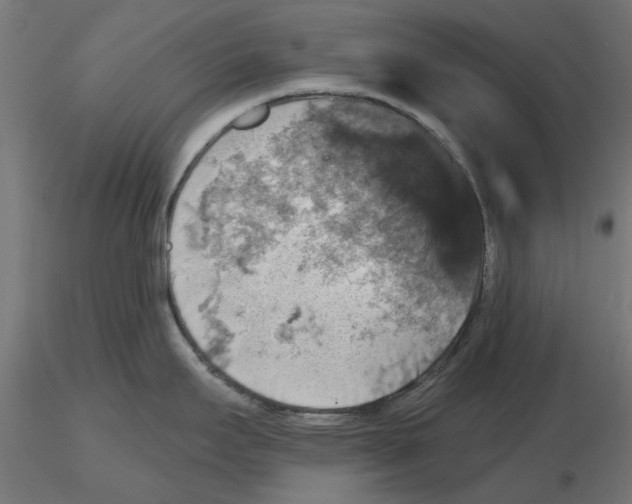 X0000116491295201001061133